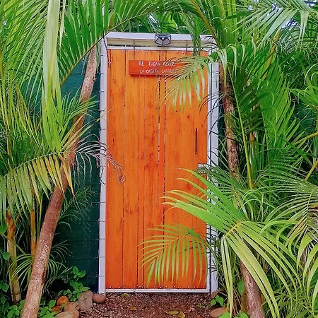 El Tucan Feliz I La Casita Caribena Cocles Exterior photo