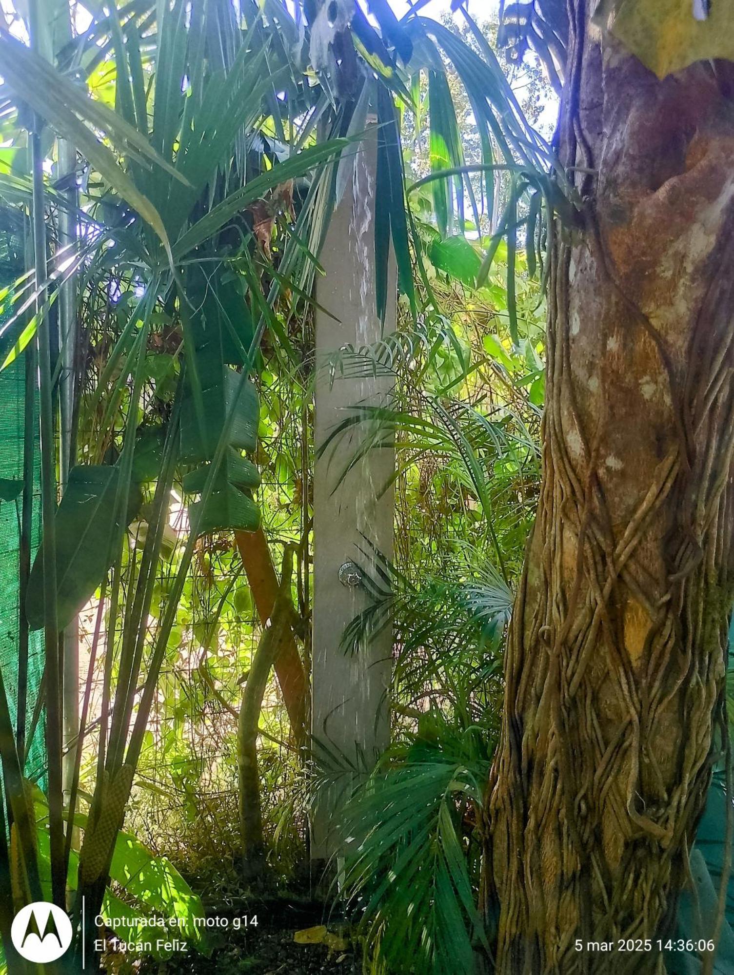 El Tucan Feliz I La Casita Caribena